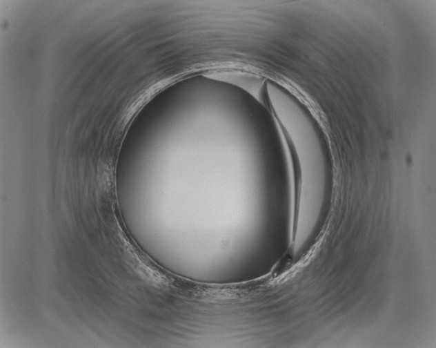 X0000083610993200703051539