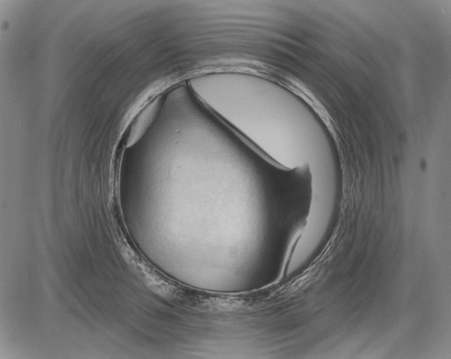 X0000083610994200703051539