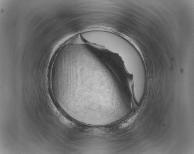 X0000083610995200703051539