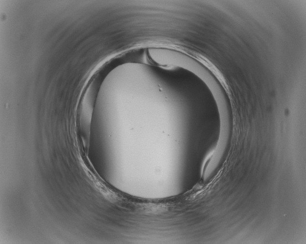 X0000083610996200703051539