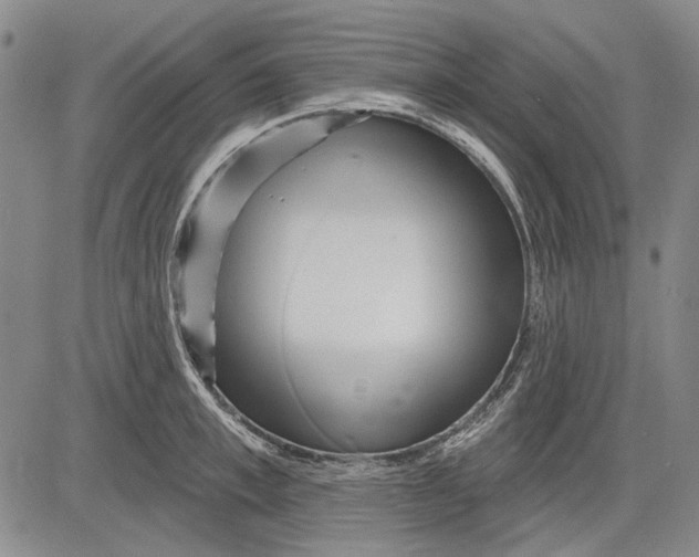 X0000083610997200703051539