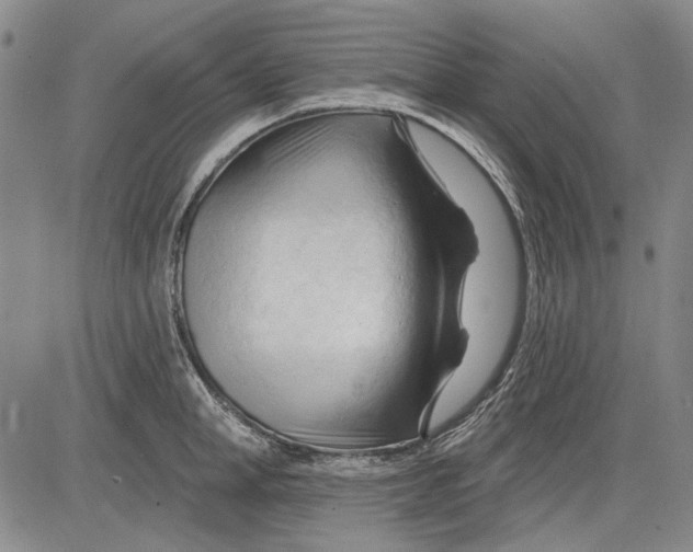 X0000083610998200703051539