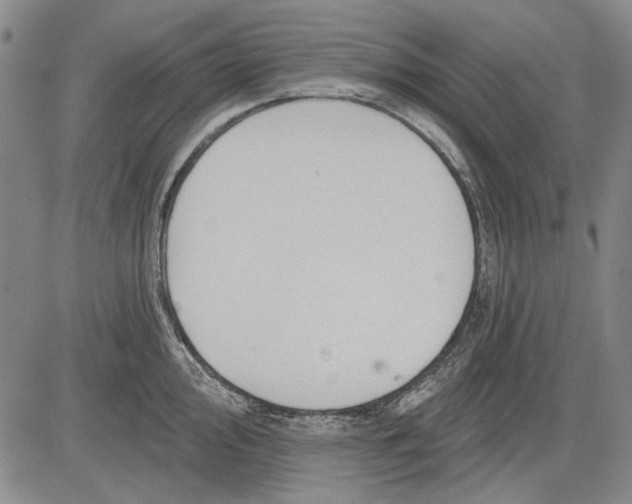 X0000083611000200703051538