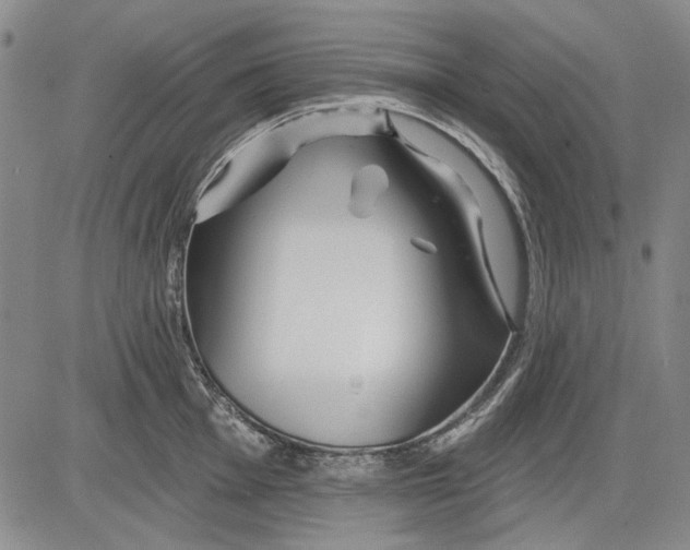 X0000083611001200703051538