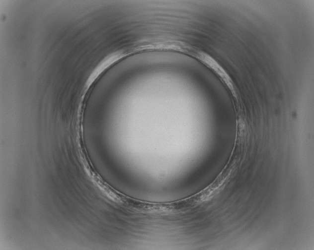 X0000083611002200703051538