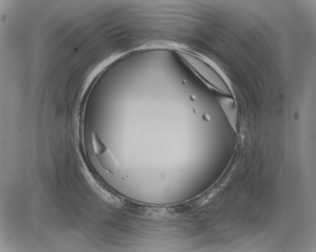 X0000083611003200703051538