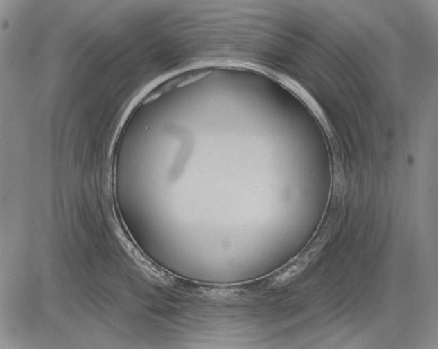 X0000083611004200703051538