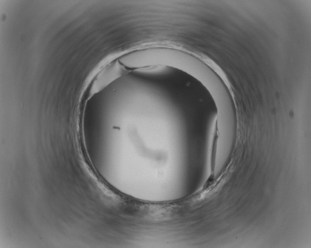 X0000083611005200703051538