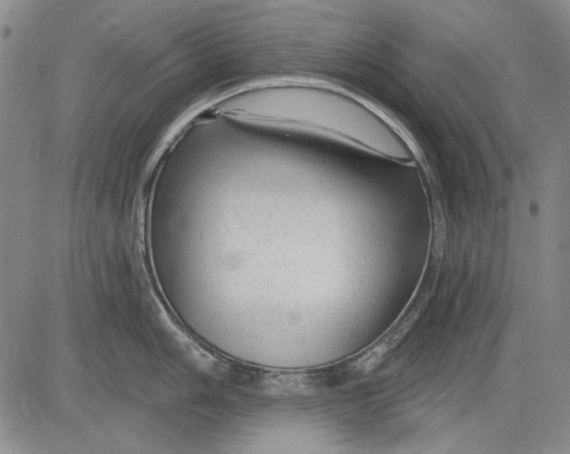 X0000083611006200703051538