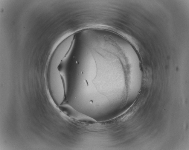 X0000083611007200703051538