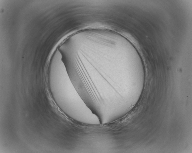 X0000083611008200703051538