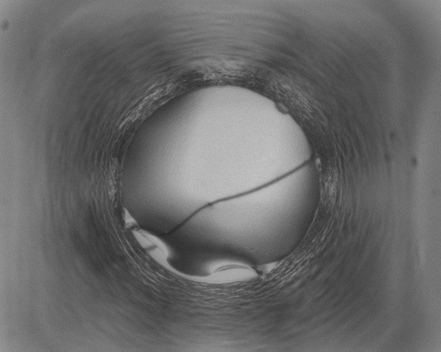 X0000083611012200703051538