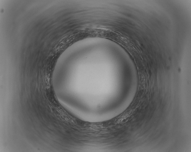 X0000083611013200703051538