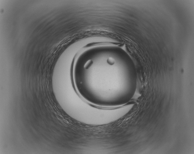 X0000083611014200703051538