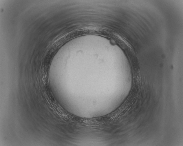 X0000083611015200703051538