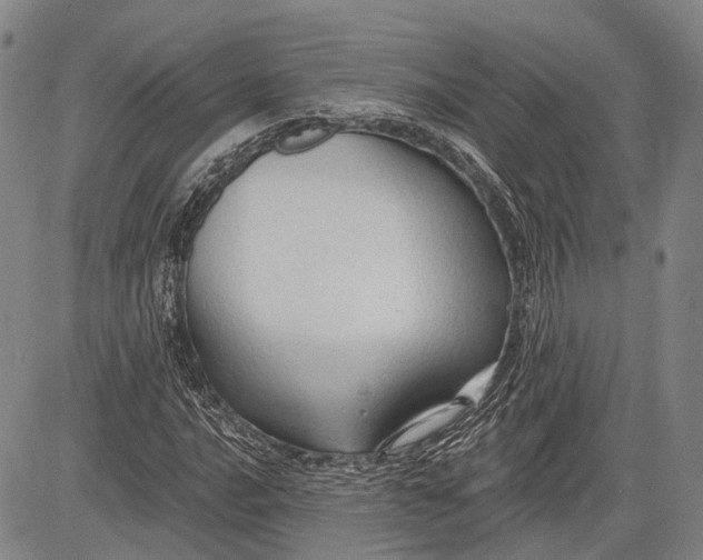 X0000083611016200703051538