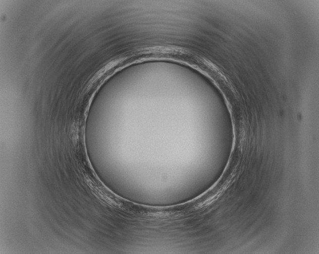 X0000083611017200703051538