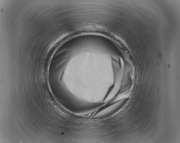 X0000083611018200703051538