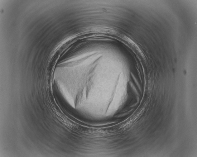 X0000083611019200703051538