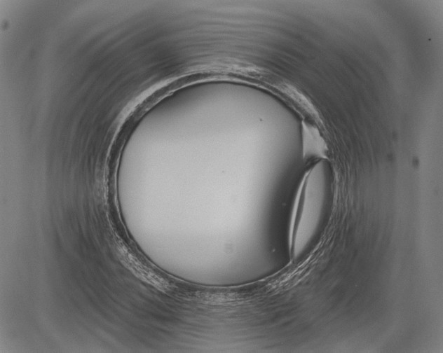 X0000083611020200703051538