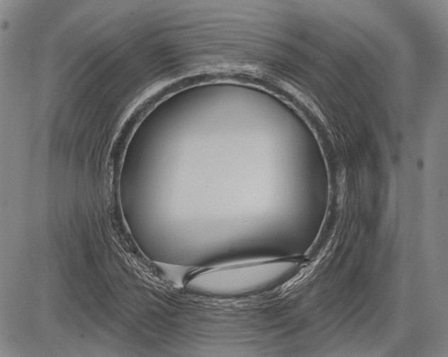 X0000083611021200703051538