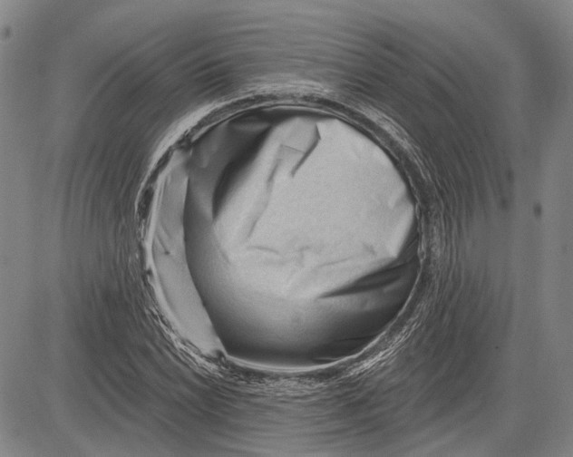 X0000083611022200703051538