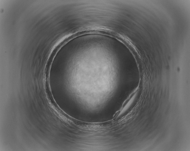 X0000083611024200703051538