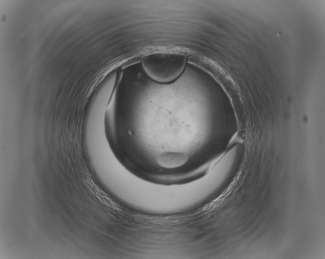 X0000083611025200703051538