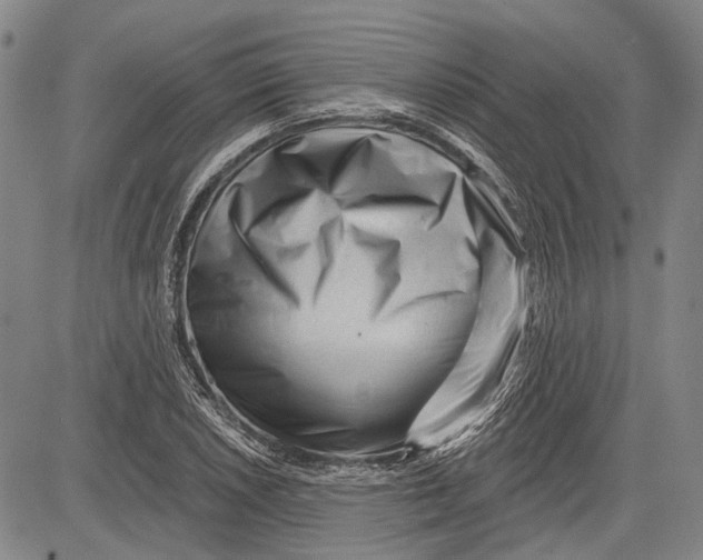 X0000083611026200703051538