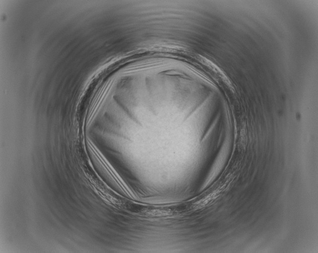 X0000083611027200703051538