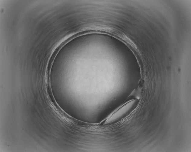 X0000083611028200703051538