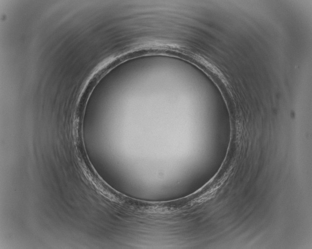 X0000083611029200703051538