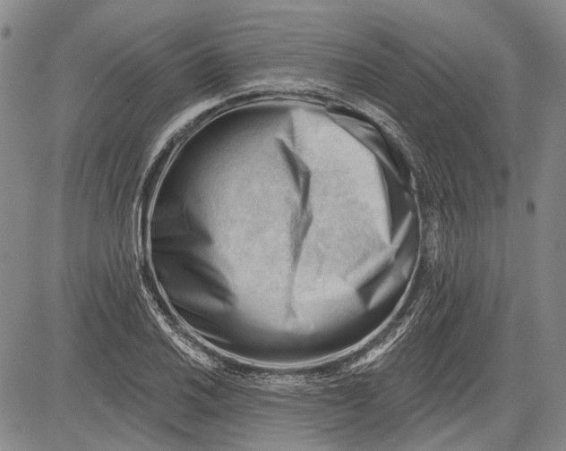 X0000083611030200703051538