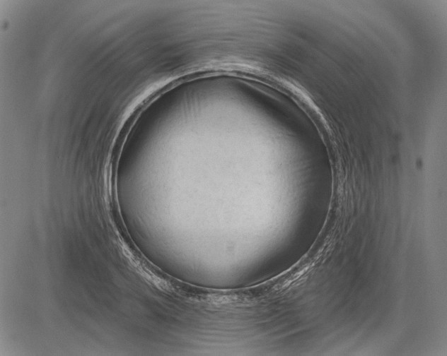 X0000083611032200703051538