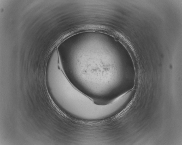 X0000083611033200703051538