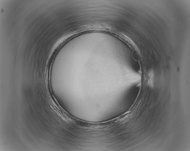 X0000083611035200703051538