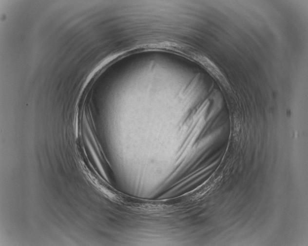 X0000083611036200703051538