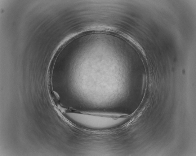 X0000083611037200703051538