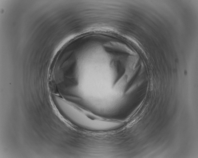 X0000083611038200703051538