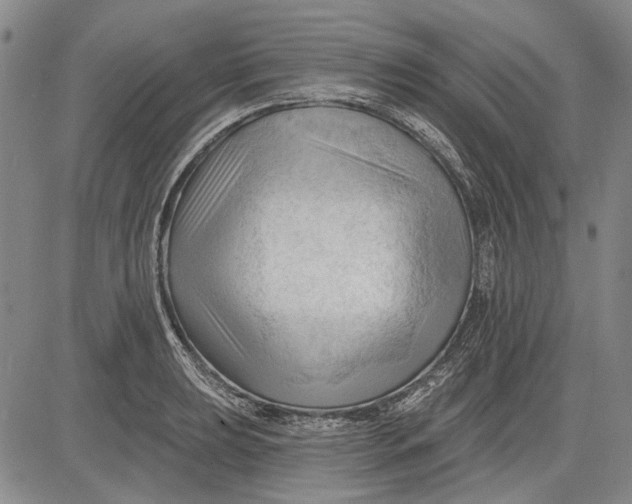 X0000083611039200703051538