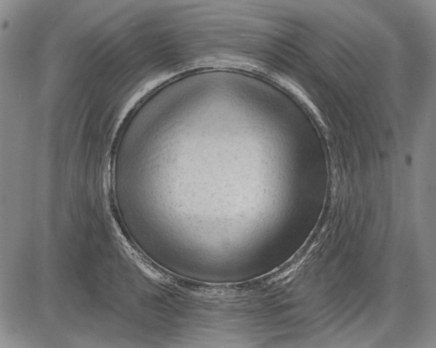 X0000083611040200703051538