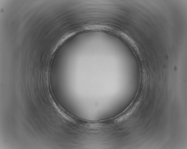 X0000083611041200703051538