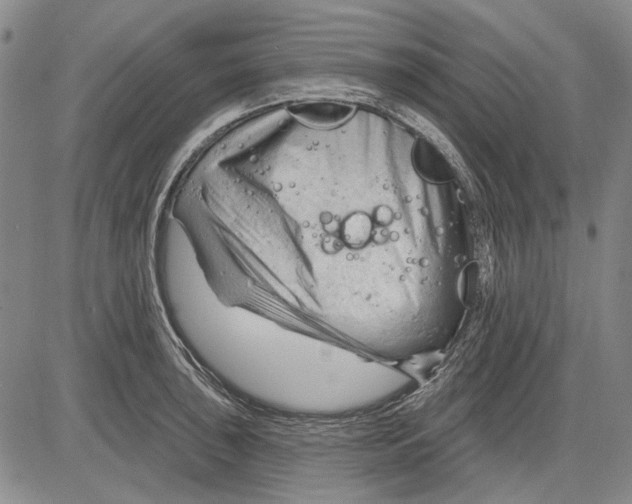 X0000083611043200703051538