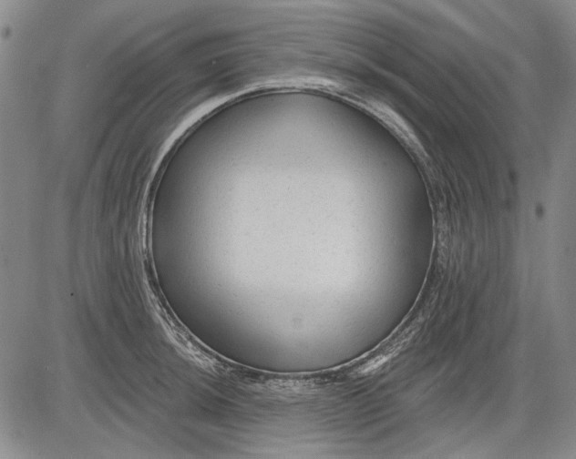 X0000083611044200703051538