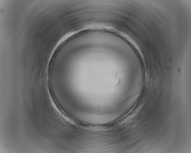 X0000083611045200703051538