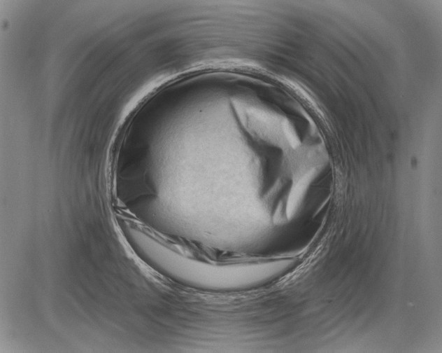 X0000083611046200703051538