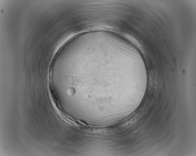 X0000083611047200703051538