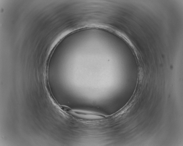 X0000083611048200703051538