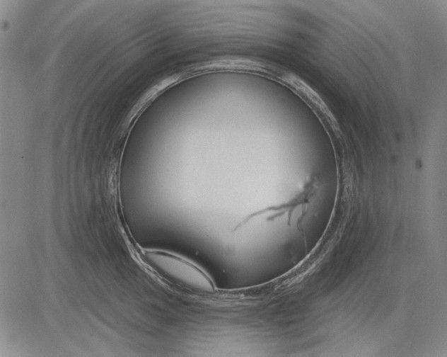 X0000083611049200703051538