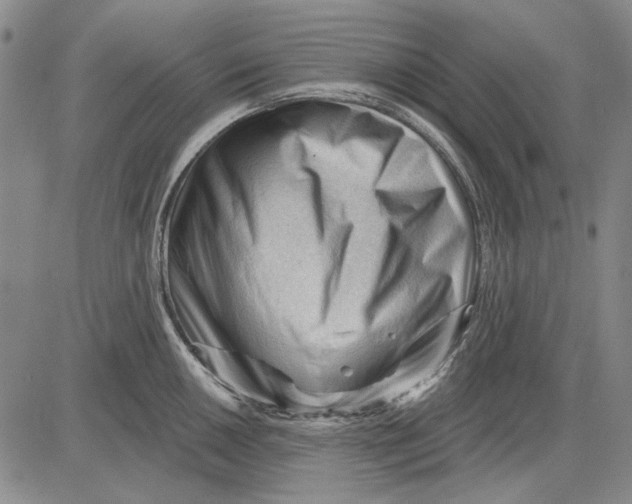 X0000083611050200703051538